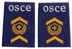 Immagine di OSCE Rangabzeichen Fourier Schulterpatten