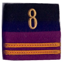Bild von  Oberleutnant Genietruppen Mot Off Rangabzeichen Schulterpatten. Preis gilt für 1 Stück 