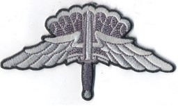 Immagine di Airborne HALO Basic Jump Abzeichen Wing Auszeichnung
