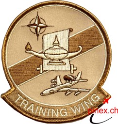 Immagine di NATO Awacs Training Wing Abzeichen Sand Tarn