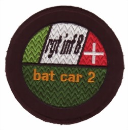 Immagine di Rgt Inf 8 Bat Car 2 braun