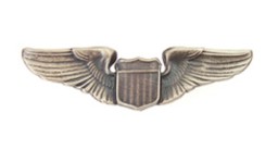 Immagine di  US Air Force Pilot Wings Pilotenabzeichen Metall