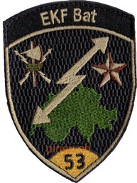 Image de EKF Bat 53 Elektrische Kriegsführung Bataillon 53 gold mit Klett