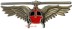 Picture of Swiss Helikopter Pilot-Wings Pin small