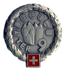 Picture of Territorialdivision 9 Insigne Béret Armée Suisse