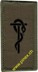 Picture of Medical corps Swiss Army Branch Insignia