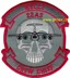 Bild von 22nd Airlift Squadron Abzeichen 