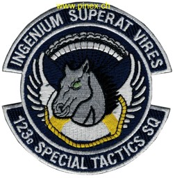 Immagine di 123d Special Tactics Squadron Abzeichen "Ingenium Superat Vires"