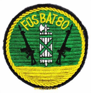 Bild von Füs Bat 80 gelb Infanterieabzeichen 