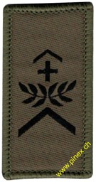 Bild von Wachtmeister Gradabzeichen Armee 21