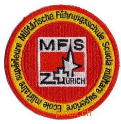 Bild von MFS Badge Armee 95