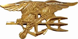 Bild von U.S. Navy Seals  large Pin gold Uniformabzeichen