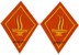 Image de Insigne Service d'assistance de troupes territoriales