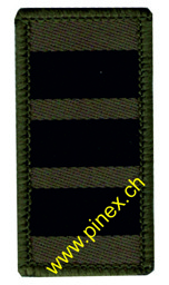 Bild von Oberst Gradabzeichen Armee 21