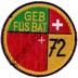 Bild von Geb Füs Bat 72 gelb