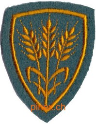 Bild von Kommissariats Offizier Spezialistenabzeichen Schweizer Armee