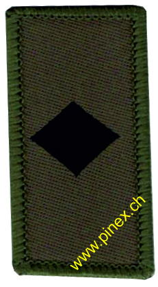 Bild von Fachoffizier Gradabzeichen Armee 21