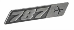 Bild von Boeing 787 Pin Silber  50mm