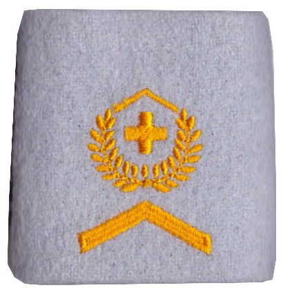 Bild von Wachtmeister Gradabzeichen Schulterpatten Übermittlung und Führungsunterstützung. Preis gilt für 1 Stück 