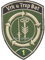 Bild von Vrk u Trsp Bat 1 grün mit Klett Armée Suisse Badge
