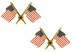 Bild von USA Flagge gekreuzt Kragenabzeichen