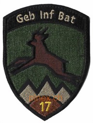 Bild von Geb Inf Bat 17 Gebirgsinfanterie Bataillon 17 braun mit Klett Armeeabzeichen