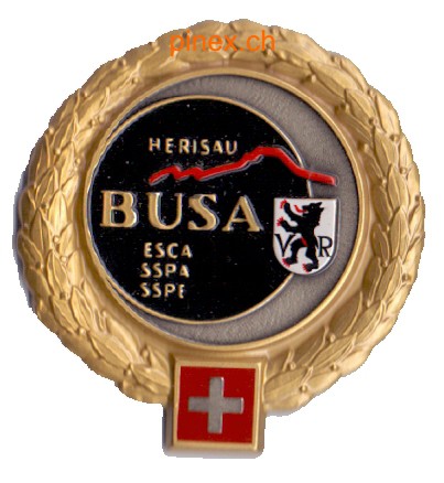 Bild von BUSA Herisau Gold Beret Emblem Schweizer Armee. Mit allen 4 Stiften offen. Auf Styropor aufgesteckt für den Versand.