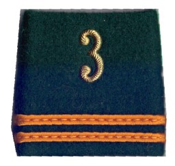 Bild von Oberleutnant Gradabzeichen Schulterpatten Infanterie 3. Preis gilt für 1 Stück 