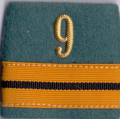 Bild von Oberstleutnant Rangabzeichen Schulterpatte Versorgungstruppen. Preis gilt für 1 Stück 