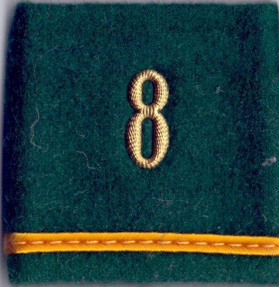 Bild von Leutnant Gradabzeichen Patten Infanterie. Preis gilt für 1 Stück 