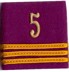 Bild von Hauptmann Rangabzeichen 5 Schulterpatten Logistik. Preis gilt für 1 Stück 