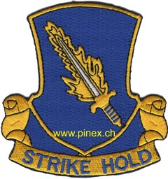 Bild von 504th Airborne Infantry Regiment Strike Hold Abzeichen Patch