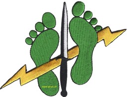 Bild von Special Tactics Squadron Jolly green Feet Abzeichen US Air Force
