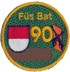 Bild von Füs Bat 90 braun Armee 95 Emblem
