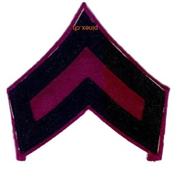 Bild von Motorfahrer Abzeichen violett 1940 Schweizer Armee 