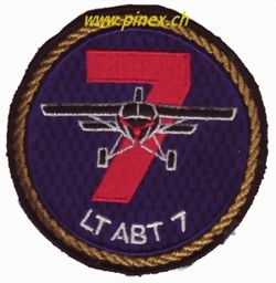 Bild von Luftransportabteilung Lt Abt 7 Armee 95 Luftwaffen Abzeichen