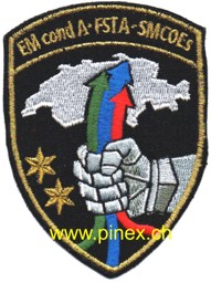 Bild von EM cond A FSTA SMCOEs Badge ohne Klett