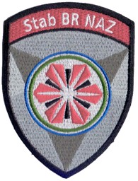 Bild von Stab BR NAZ Bundesrat Nationale Alarmzentrale Badge Armee 21 ohne Klett