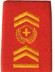 Bild von Hauptadjutant Rangabzeichen Schulterpatte Territorialdienst. Preis gilt für 1 Stück 