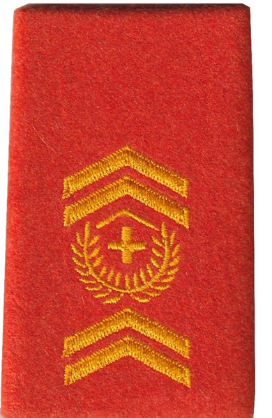 Bild von Stabsadjutant Rangabzeichen Schulterpatte Territorialdienst. Preis gilt für 1 Stück 