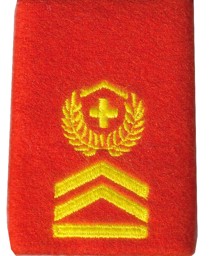 Bild von Hauptfeldweibel Rangabzeichen Schulterpatte Territorialdienst. Preis gilt für 1 Stück 