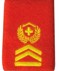 Bild von Hauptfeldweibel Rangabzeichen Schulterpatte Territorialdienst. Preis gilt für 1 Stück 