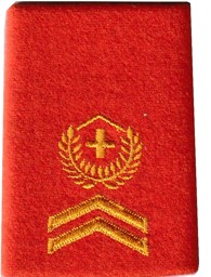 Bild von Feldweibel Rangabzeichen Schulterpatte Territorialdienst. Preis gilt für 1 Stück 