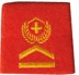 Bild von Oberwachtmeister Rangabzeichen Schulterpatte Territorialdienst. Preis gilt für 1 Stück 
