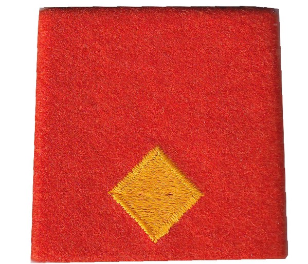 Bild von Fachoffizier Rangabzeichen Schulterpatte Territorialdienst. Preis gilt für 1 Stück 