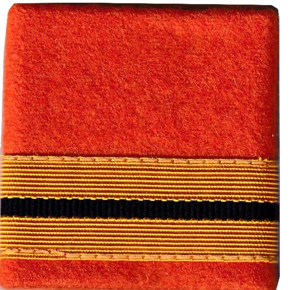 Image de Oberstleutnant Rangabzeichen Schulterpatte Territorialdienst. Preis gilt für 1 Stück 