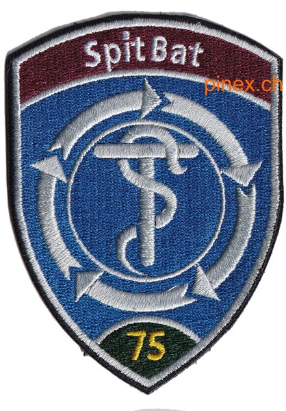 Picture of Spital Bataillon 75 Badge grün ohne Klett dunkelblau