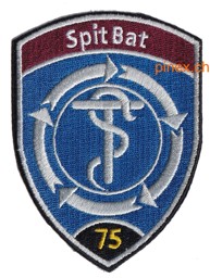 Bild von Spital Bataillon 75 Badge schwarz ohne Klett dunkelblau