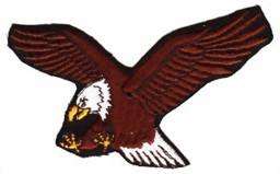 Bild von Biker Eagle Adler Abzeichen Patch links