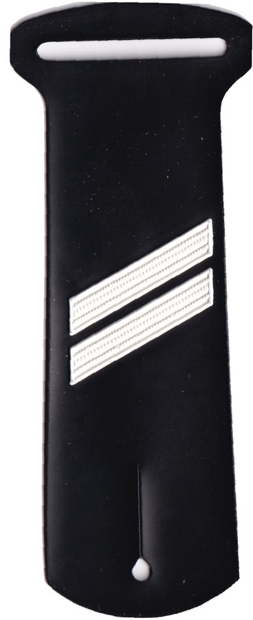 Bild von Dienstführer HD Rangabzeichen Gummi "Gummiadler" Schweizer Armee
